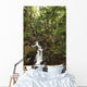 Stream Running Through The Rainforest Near Hilo, Big Island, Hawaii Wall Mural