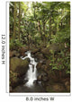 Stream Running Through The Rainforest Near Hilo, Big Island, Hawaii Wall Mural