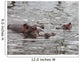 La Mere Hippo