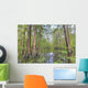 Swamp, Southern Louisiana Wall Mural