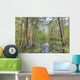 Swamp, Southern Louisiana Wall Mural