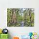 Swamp, Southern Louisiana Wall Mural