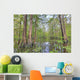 Swamp, Southern Louisiana Wall Mural