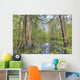 Swamp, Southern Louisiana Wall Mural