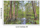 Swamp, Southern Louisiana Wall Mural