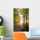 Lichtdurchfluteter Forest Wall Decal