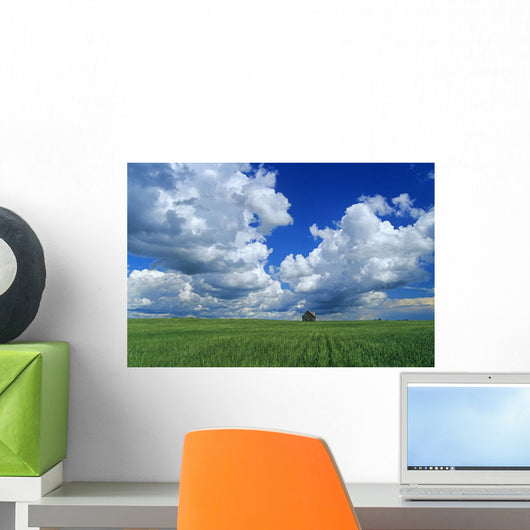 Abandoned Farm In Wheat Field With Cumulonimbus Clouds In The Sky Wall Mural