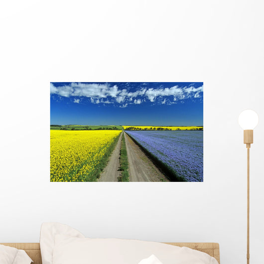 Road Through Flowering Flax And Canola Fields Wall Mural