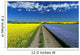Road Through Flowering Flax And Canola Fields Wall Mural