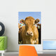 Beef Cattle, Tiger Hills, Manitoba Wall Mural