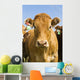 Beef Cattle, Tiger Hills, Manitoba Wall Mural