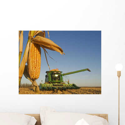 Up Feed Corn Grown Wall Mural shown on a wall