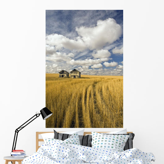 Field Showing Remains Of Wheat Straw Wall Mural