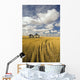 Field Showing Remains Of Wheat Straw Wall Mural