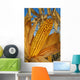 Feed/Grain Corn, Near Niverville, Manitoba Wall Mural