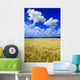 Maturing Barley Crop And Sky With Cumulus Clouds Wall Mural