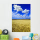 Maturing Barley Crop And Sky With Cumulus Clouds Wall Mural