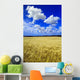 Maturing Barley Crop And Sky With Cumulus Clouds Wall Mural
