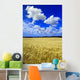 Maturing Barley Crop And Sky With Cumulus Clouds Wall Mural
