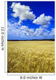 Maturing Barley Crop And Sky With Cumulus Clouds Wall Mural