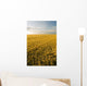 Field Of Maturing Barley Stretches To The Horizon Wall Mural