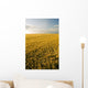 Field Of Maturing Barley Stretches To The Horizon Wall Mural