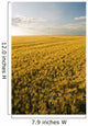 Field Of Maturing Barley Stretches To The Horizon Wall Mural