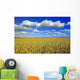 Field Of Feed/Grain Corn Stretches To The Horizon Wall Mural
