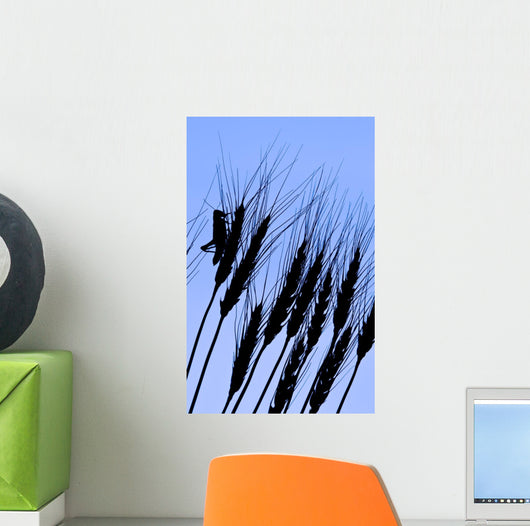 Silhouette Of A Grasshopper On Wheat, Near Manor, Saskatchewan Wall Mural