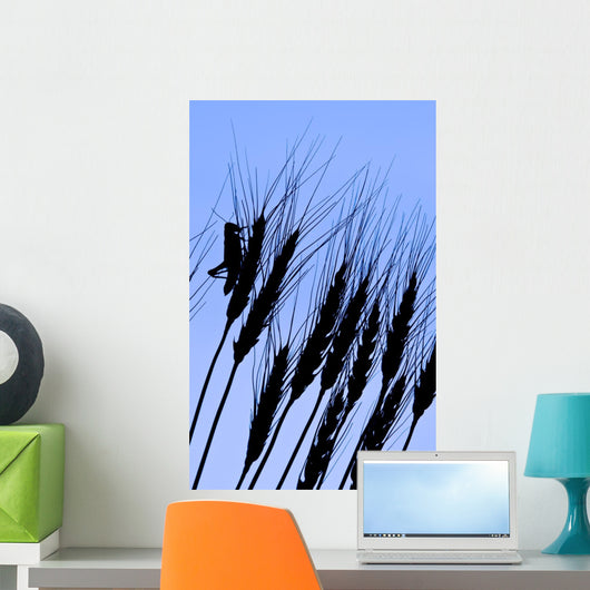Silhouette Of A Grasshopper On Wheat, Near Manor, Saskatchewan Wall Mural