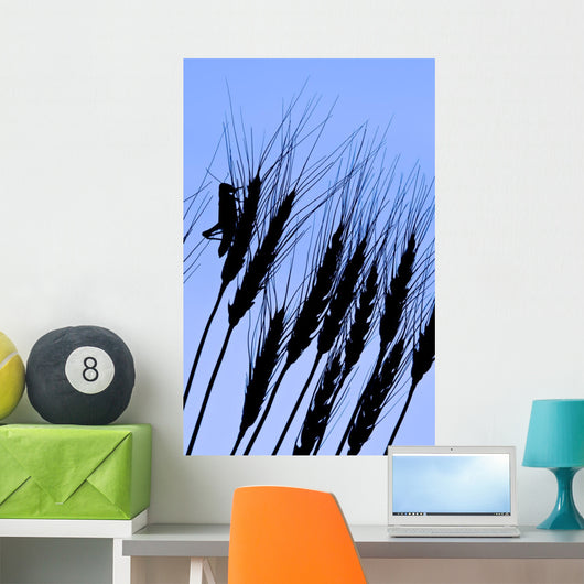 Silhouette Of A Grasshopper On Wheat, Near Manor, Saskatchewan Wall Mural