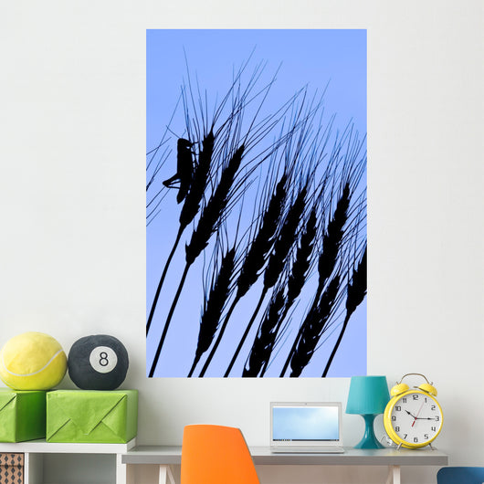 Silhouette Of A Grasshopper On Wheat, Near Manor, Saskatchewan Wall Mural