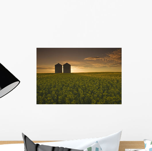 Bloom Stage Canola Field With Grain Bins In The Background Wall Mural