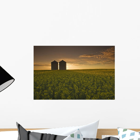 Bloom Stage Canola Field With Grain Bins In The Background Wall Mural