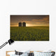 Bloom Stage Canola Field With Grain Bins In The Background Wall Mural
