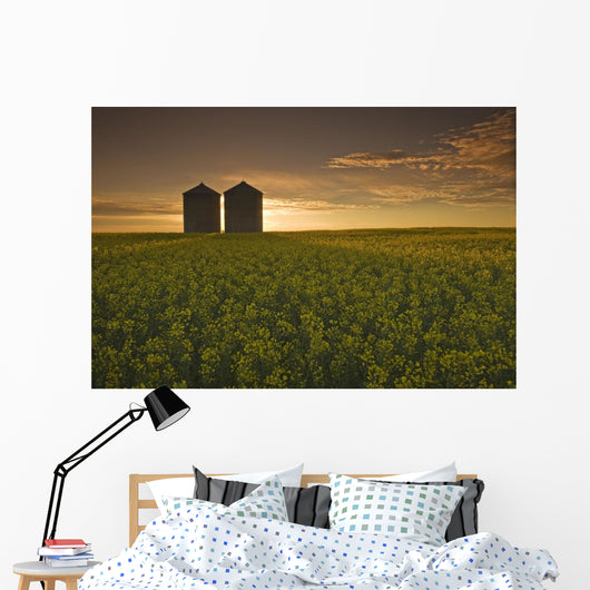 Bloom Stage Canola Field With Grain Bins In The Background Wall Mural
