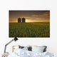 Bloom Stage Canola Field With Grain Bins In The Background Wall Mural