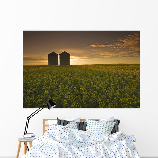 Bloom Stage Canola Field With Grain Bins In The Background Wall Mural