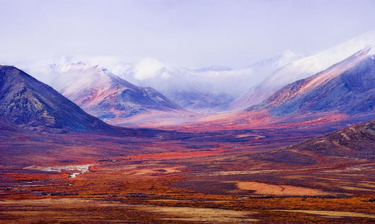 Tombstone Range And Fall Colours Wall Mural