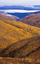 Artist's Choice: Fall Colours Along Top Of The World Highway, Yukon Wall Mural