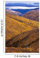 Artist's Choice: Fall Colours Along Top Of The World Highway, Yukon Wall Mural