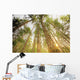 Trees In Forest, Near Duncan, Vancouver Island, British Columbia Wall Mural