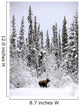 Moose In Deep Snow, Near Teslin, Yukon Wall Mural