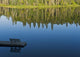 Bench On A Dock And Trees Reflected In Water Wall Mural