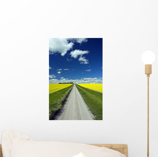 Country Road With Blooming Canola Fields On Both Sides Wall Mural