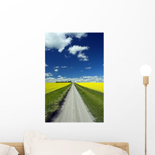 Country Road With Blooming Canola Fields On Both Sides Wall Mural
