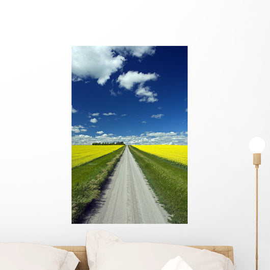 Country Road With Blooming Canola Fields On Both Sides Wall Mural