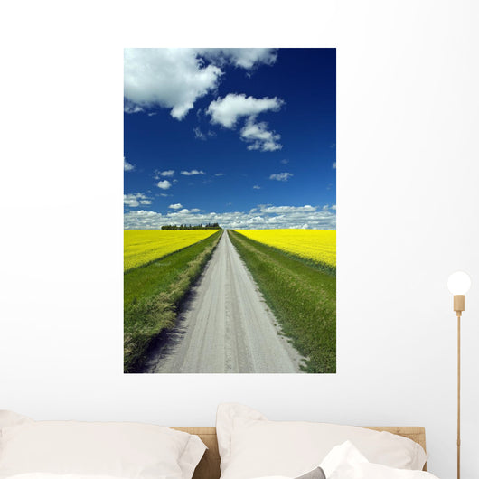 Country Road With Blooming Canola Fields On Both Sides Wall Mural
