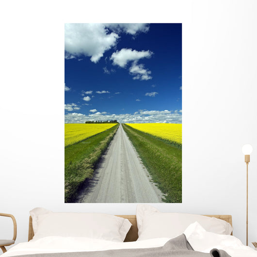 Country Road With Blooming Canola Fields On Both Sides Wall Mural