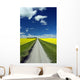 Country Road With Blooming Canola Fields On Both Sides Wall Mural